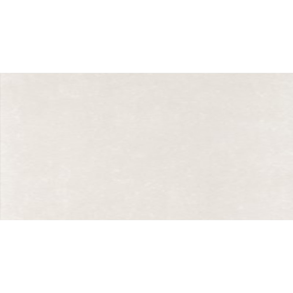 Picture of Eleganza Tiles - Start 24 x 48 Light Matte