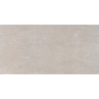 Picture of Eleganza Tiles - Start 24 x 48 Topo Matte