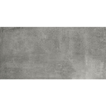Picture of Anatolia Tile & Stone - Industria 12x24 Chromium