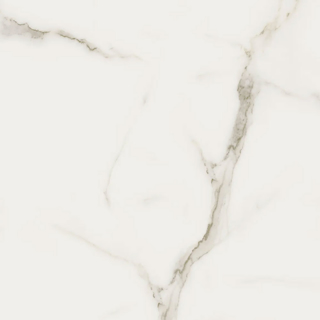 Picture of Anatolia Tile & Stone - Mayfair 24 x 24 Calacatta Oro