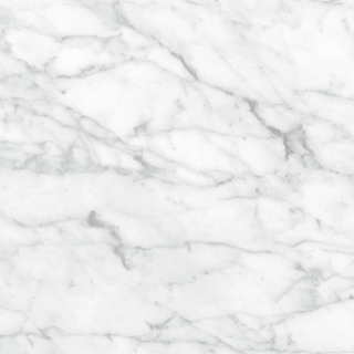 Picture of Anatolia Tile & Stone - Plata 24 x 24 Carrara Abisso Matte