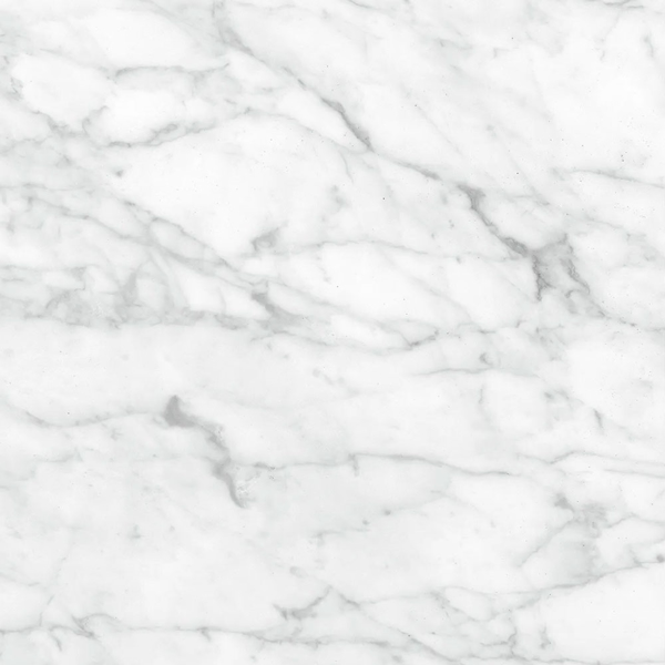 Picture of Anatolia Tile & Stone - Plata 24 x 24 Carrara Abisso Matte