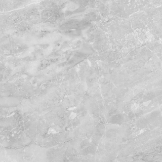 Picture of Anatolia Tile & Stone - Plata 24 x 24 Perla Grigia Polished