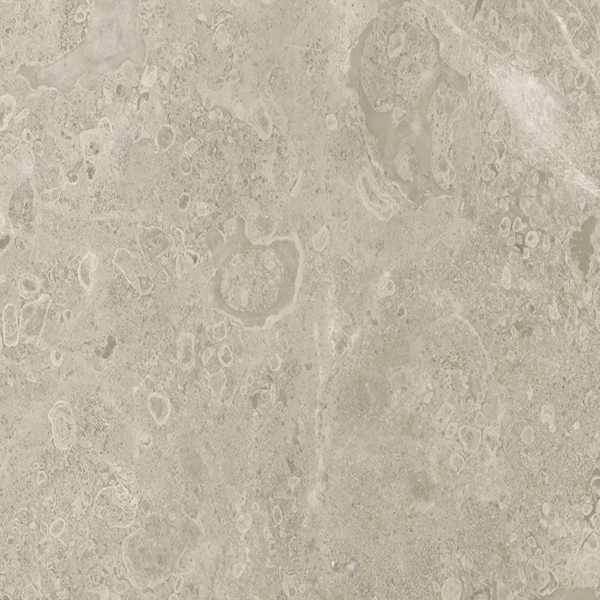 Picture of Anatolia Tile & Stone - Ritz Gray 12 x 24 Ritz Gray