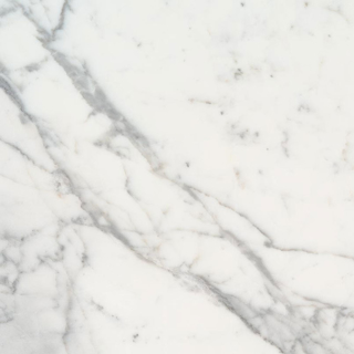 Picture of MS International - Marble 12 x 12 Honed Calacatta Gold