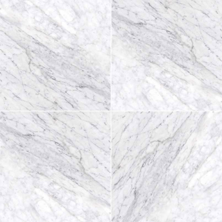 Picture of MS International - Marble 12 x 12 Honed Carrara White