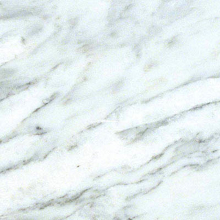 Picture of MS International - Marble 18 x 18 Polished Arabescato Carrara