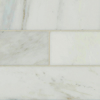 Picture of MS International - Marble 4 x 12 Honed Arabescato Carrara