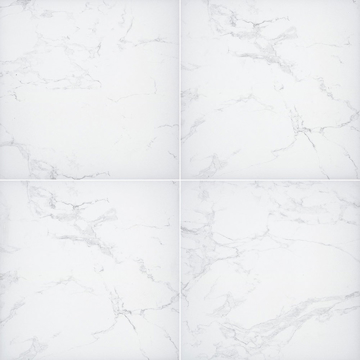 Picture of MS International - Arterra 24 x 24 Porcelain Pavers Praia Carrara