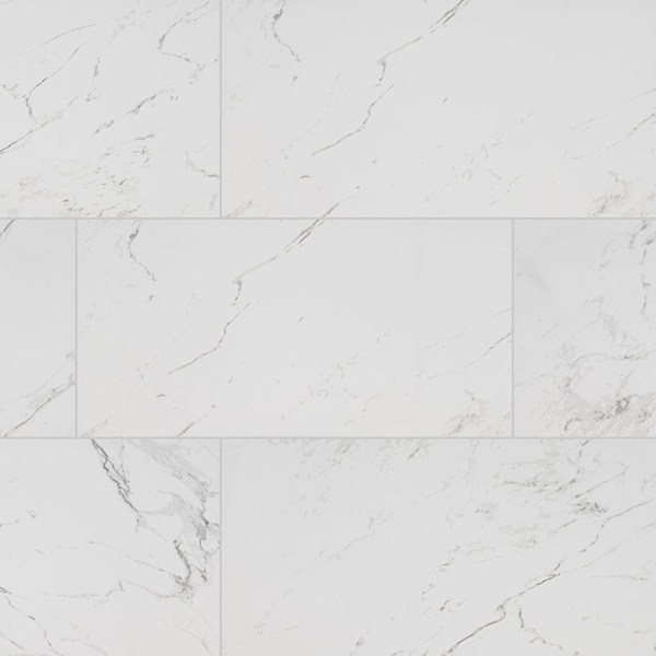 Picture of MS International - Pietra 12 x 24 Polished Carrara