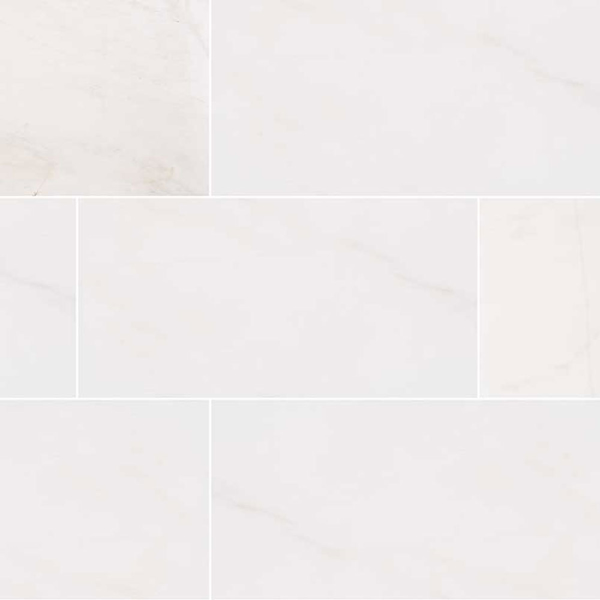 Picture of MS International - Marble 12 x 24 Polished Bianco Dolomite