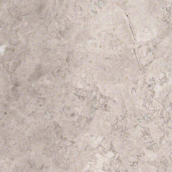 Picture of MS International - Marble 12 x 12 Polished Tundra Gray