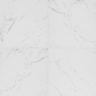 Picture of MS International - Pietra 24x24 Matte Carrara