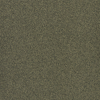 Picture of Patcraft - Color Your World Color Aesthetic