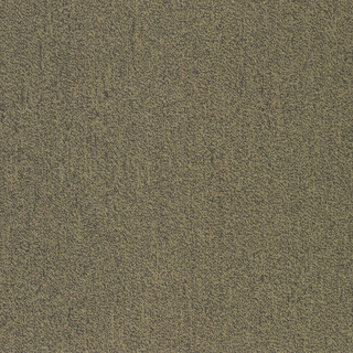 Picture of Patcraft - Color Your World Color Mapping
