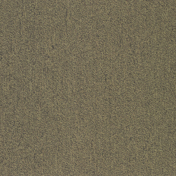 Picture of Patcraft - Color Your World Color Mapping