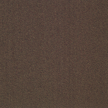 Picture of Patcraft - Color Your World Color Match