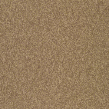 Picture of Patcraft - Color Your World Color Scale