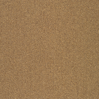 Picture of Patcraft - Color Your World Color Scheme