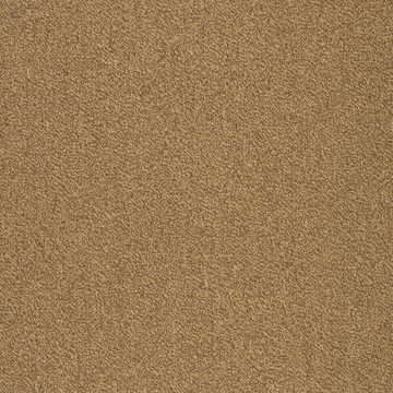 Picture of Patcraft - Color Your World Color Scheme