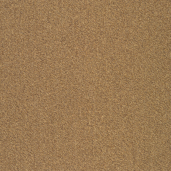Picture of Patcraft - Color Your World Color Scheme