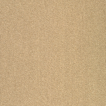 Picture of Patcraft - Color Your World Color Swatches