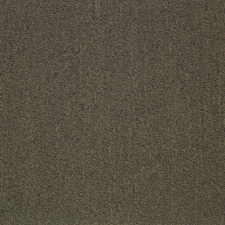 Picture of Patcraft - Color Your World Color Trend