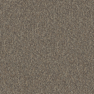 Picture of Patcraft - Homeroom V3 Final Exam