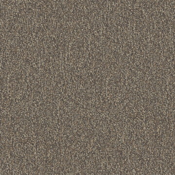Picture of Patcraft - Homeroom V3 Final Exam