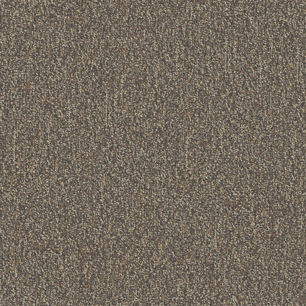 Picture of Patcraft - Homeroom V3 Final Exam