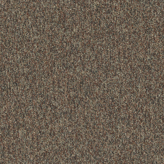Picture of Patcraft - Homeroom V3 Textbook
