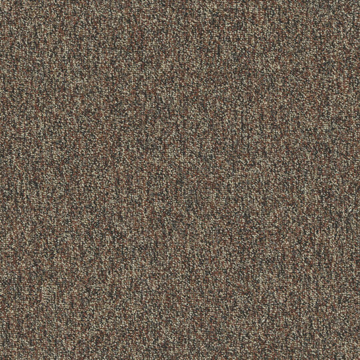 Picture of Patcraft - Homeroom V3 Textbook
