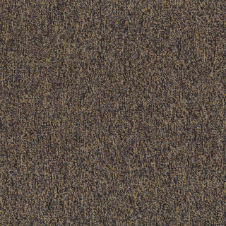 Picture of Patcraft - Homeroom V3 Varsity
