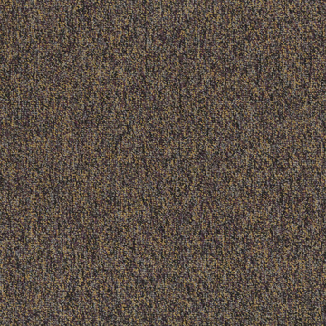 Picture of Patcraft - Homeroom V3 Varsity