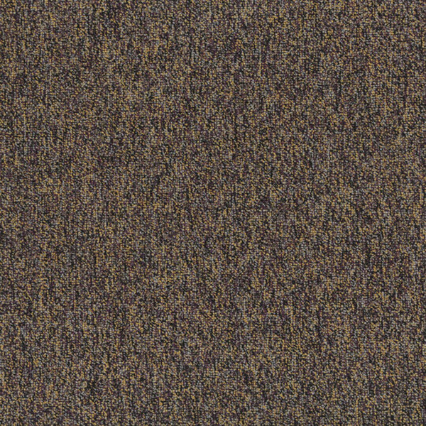 Picture of Patcraft - Homeroom V3 Varsity