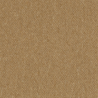 Picture of Patcraft - Scholastic II Curricula