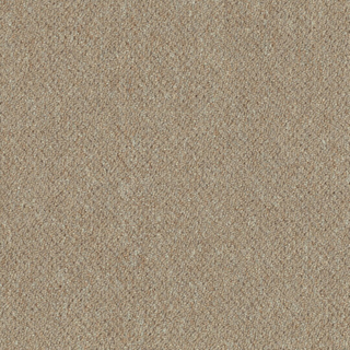 Picture of Patcraft - Scholastic II Elective