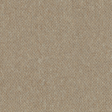 Picture of Patcraft - Scholastic II Elective