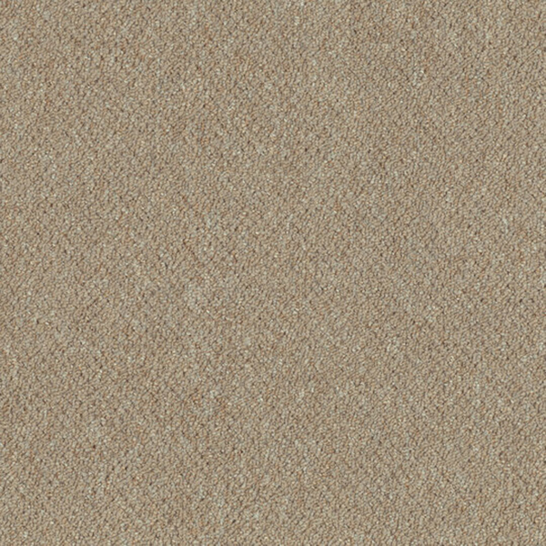 Picture of Patcraft - Scholastic II Elective
