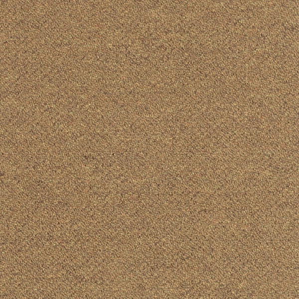 Picture of Patcraft - Scholastic II Graduate Program