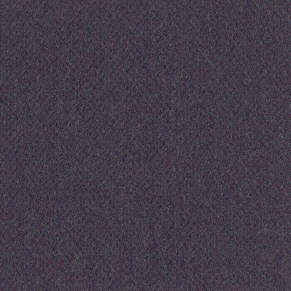 Picture of Patcraft - Scholastic II Midterm