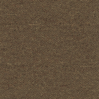 Picture of Patcraft - Scholastic II Student Loans