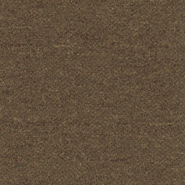 Picture of Patcraft - Scholastic II Student Loans
