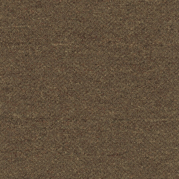 Picture of Patcraft - Scholastic II Student Loans