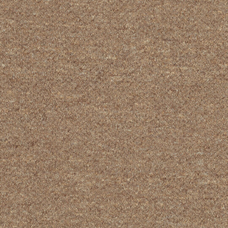 Picture of Patcraft - Scholastic II Syllabus
