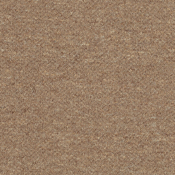 Picture of Patcraft - Scholastic II Syllabus