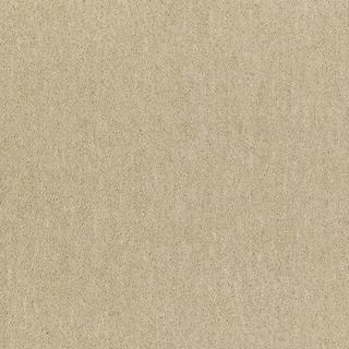 Picture of Patcraft - Scholastic II Tenure