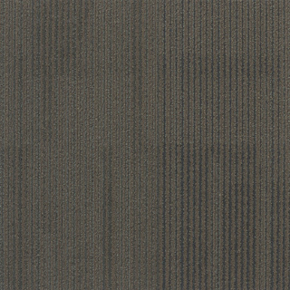 Picture of Patcraft - Speak In Color Tonal Earth