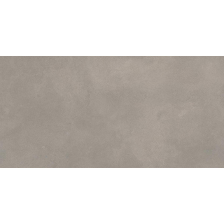 Picture of Emser Tile - Agio 24 x 47 Slim Affum