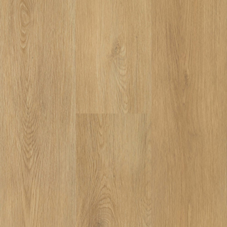 Picture of Next Floor - Expanse Sunrise Oak